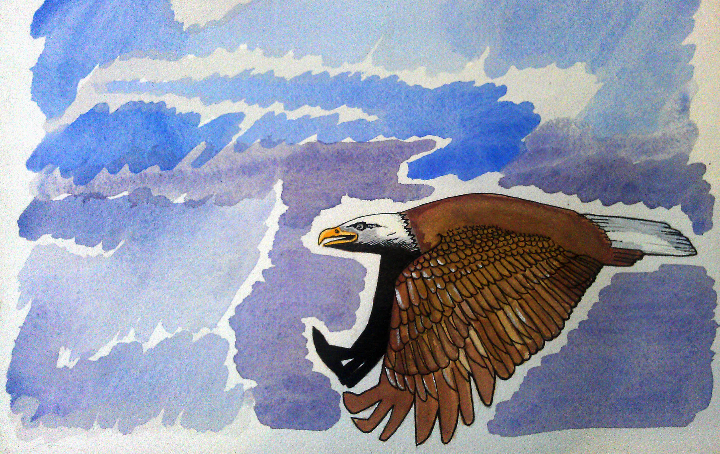 Fly like an eagle, watercolour an pen